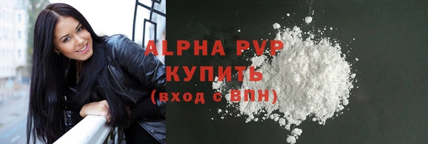 крисы Вязьма