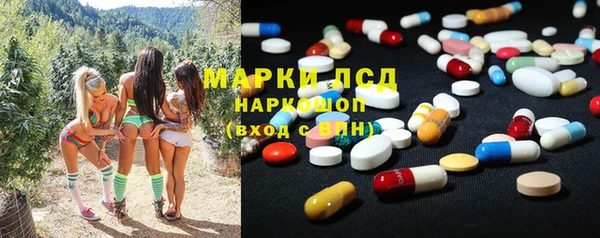 крисы Вязьма
