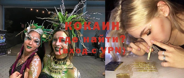 крисы Вязьма