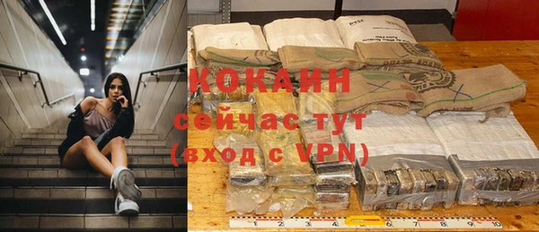 крисы Вязьма