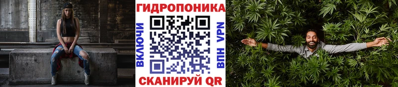 Купить закладки  Джанкой  Бошки марихуана сатива 